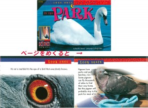 lookanimal